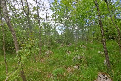 Building plot Permani, Matulji, 2.467m2