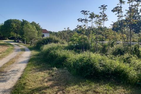 Sveti Petar u Šumi, Sveti Petar U Šumi, 1.411m2