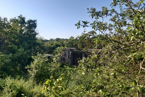 Sveti Petar u Šumi, Sveti Petar U Šumi, 1.411m2