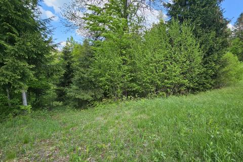 Poljoprivredni teren - Hlevci