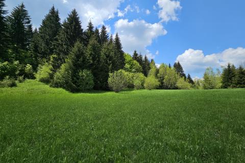 Земельный участок нестроительного назначения Hlevci, Skrad, 3.890m2