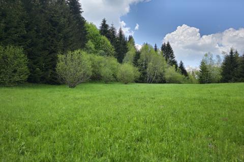 Земельный участок нестроительного назначения Hlevci, Skrad, 3.890m2