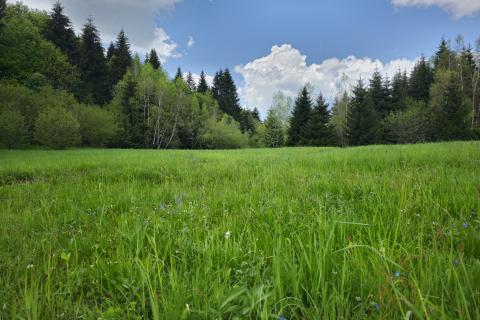 Земельный участок нестроительного назначения Hlevci, Skrad, 3.890m2