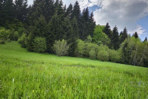 Земельный участок нестроительного назначения Hlevci, Skrad, 3.890m2