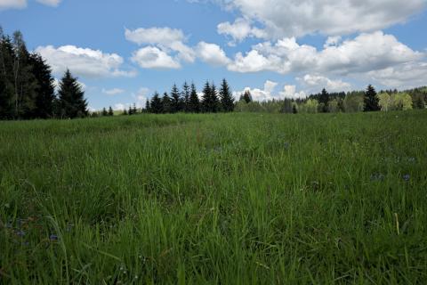 Земельный участок нестроительного назначения Hlevci, Skrad, 3.890m2