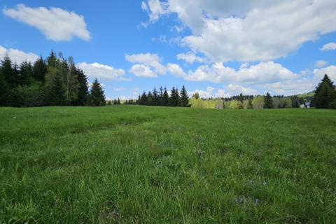 Земельный участок нестроительного назначения Hlevci, Skrad, 3.890m2