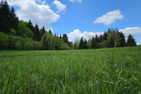 Земельный участок нестроительного назначения Hlevci, Skrad, 3.890m2