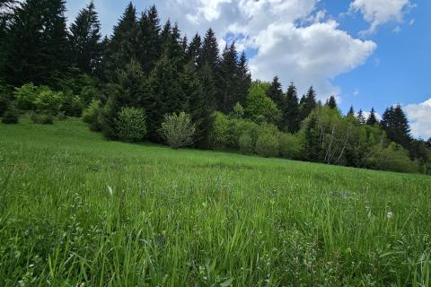 Земельный участок нестроительного назначения Hlevci, Skrad, 3.890m2