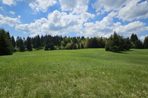 Земельный участок нестроительного назначения Hlevci, Skrad, 3.890m2