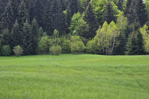 Земельный участок нестроительного назначения Hlevci, Skrad, 3.890m2