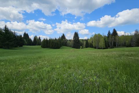 Земельный участок нестроительного назначения Hlevci, Skrad, 3.890m2