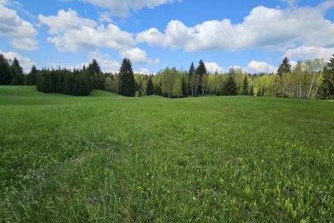 Земельный участок нестроительного назначения Hlevci, Skrad, 3.890m2