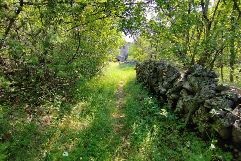 Casa Kampelje, Vrbnik, 80m2