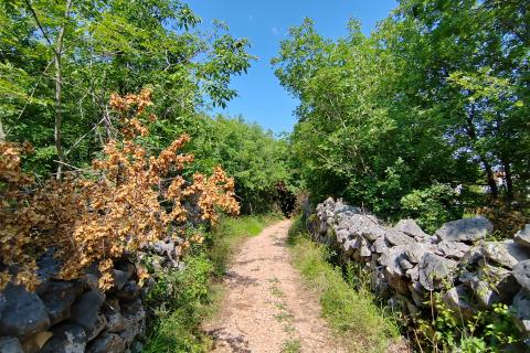 Casa Kampelje, Vrbnik, 80m2