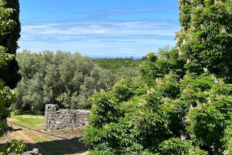 Poreč - okolica, 2 autohtone kamene kuće sa pogledom na more i kombinacijom građevinskog i poljoprivrednog zemljišta