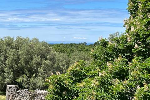 Poreč - okolica, 2 autohtone kamene kuće sa pogledom na more i kombinacijom građevinskog i poljoprivrednog zemljišta