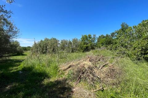Poreč - okolica, 2 autohtone kamene kuće sa pogledom na more i kombinacijom građevinskog i poljoprivrednog zemljišta