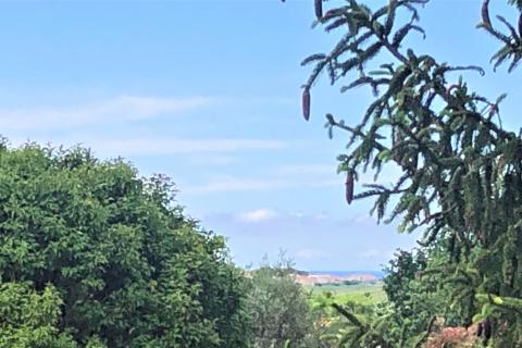 Istra, okolica Brtonigle, 2 vrstni hiši