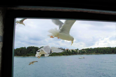 Rovinj,rustikalna kuća na moru-120m2