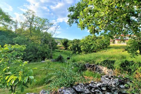 Building plot Veli Mlun, Buzet, 3.237m2