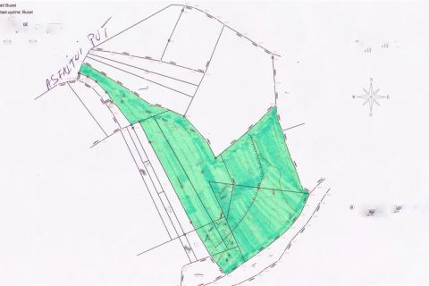 Building plot Veli Mlun, Buzet, 3.237m2