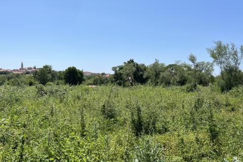 Tar - građevinsko zemljište za izgradnju 2 stambene zgrade