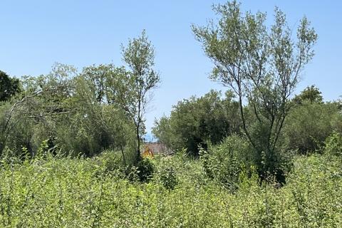 Tar - građevinsko zemljište za izgradnju 2 stambene zgrade