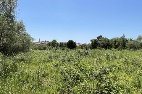 Tar - građevinsko zemljište za izgradnju 2 stambene zgrade