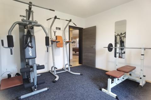 ISTRA, Loborika, prostrana kuća sa puno sadržaja