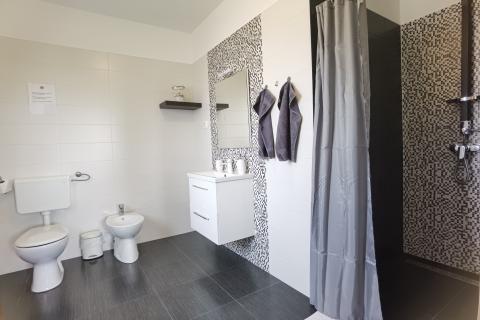 ISTRA, Loborika, prostrana kuća sa puno sadržaja