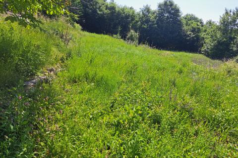 Building plot Veprinac, Opatija - Okolica, 1.255m2