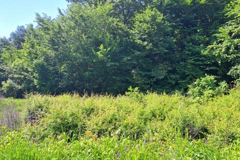 Building plot Veprinac, Opatija - Okolica, 1.255m2