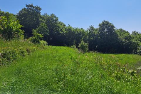 Building plot Veprinac, Opatija - Okolica, 1.255m2