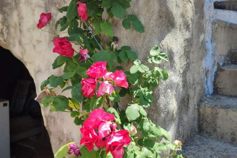 Draga Bašćanska - kuća u nizu 75m2, terase