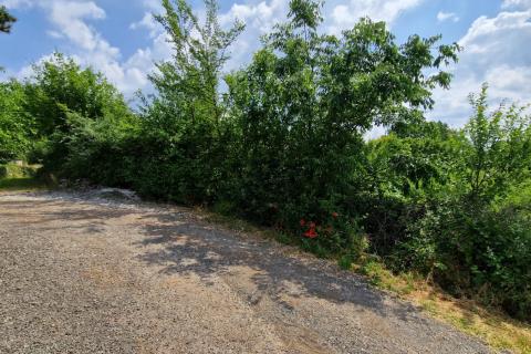 Terreno non edificabile Foli, Svetvinčenat, 403m2