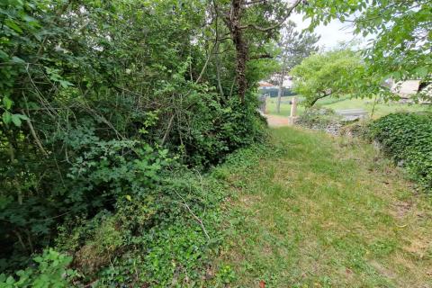 Terreno non edificabile Foli, Svetvinčenat, 403m2