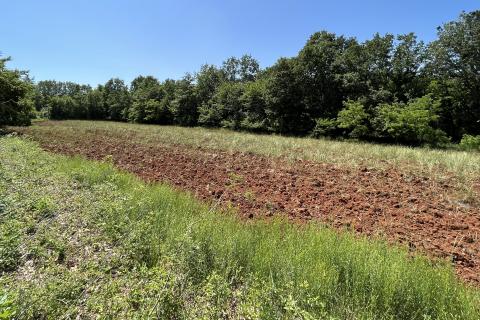 Kaštelir, okolica - poljoprivredno zemljište ukupne kvadrature 22708 m2