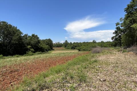 Kaštelir, okolica - poljoprivredno zemljište ukupne kvadrature 22708 m2