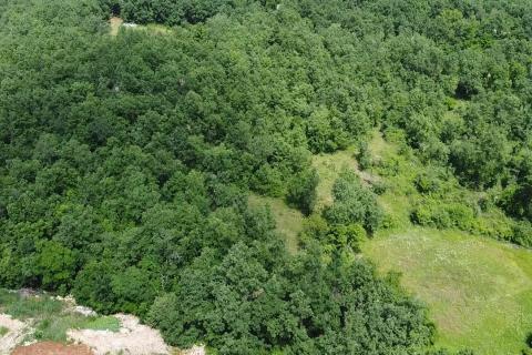 Building plot Gambetići, Višnjan, 7.375m2