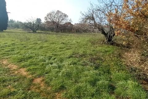 Pula,građevinsko zemljište u predgrađu