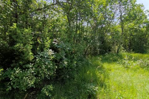 Земельный участок нестроительного назначения Umag, 2.000m2