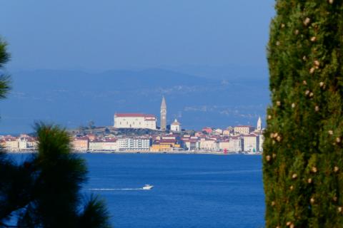 Umag, Crveni Vrh, iznimno građevinsko zemljište s projektom na top lokaciji s pogledom na more