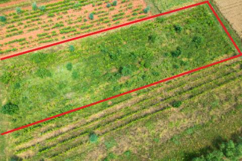 Rovinj,2440m2 poljoprivredno Gripole-Turnina