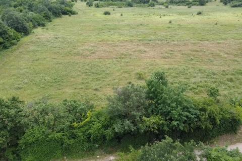 Terreno non edificabile Tar, Tar-Vabriga, 10.054m2