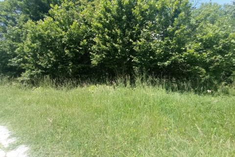 Lukovdol, Vrbovsko, 2.500m2