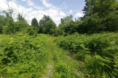 Lukovdol, Vrbovsko, 3.000m2