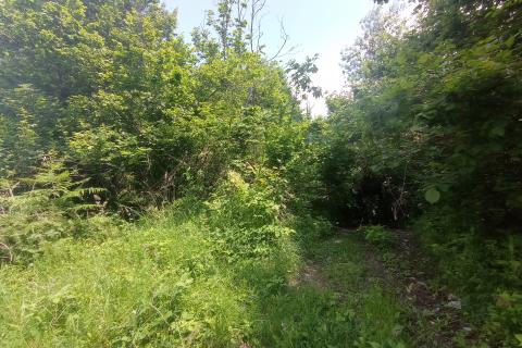 Lukovdol, Vrbovsko, 3.000m2