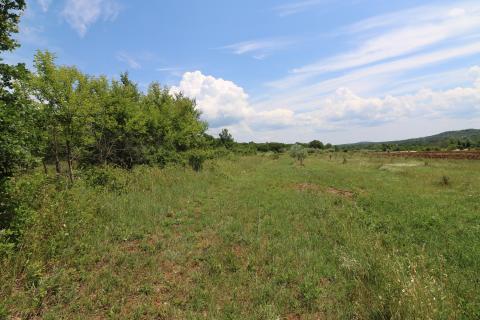 POREČ-4 h poljoprivrednog zemljišta