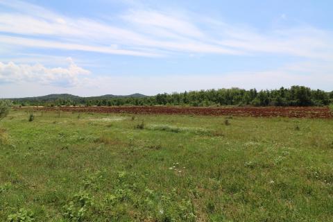 POREČ-4 h poljoprivrednog zemljišta