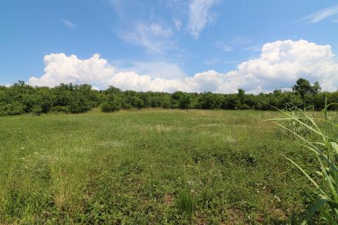 POREČ-4 h poljoprivrednog zemljišta